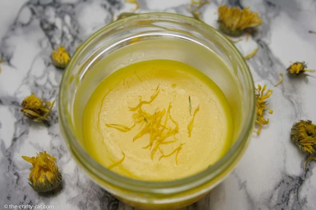 an open jar with healing calendula salve standing on a marble table sprinkled with dried calendula flowers