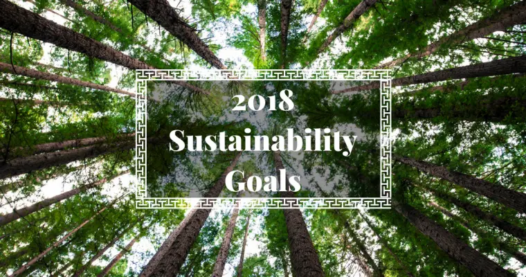 My 2018 sustainability goals, what I will be focusing on in 2018 in terms of food, transport, home or action.