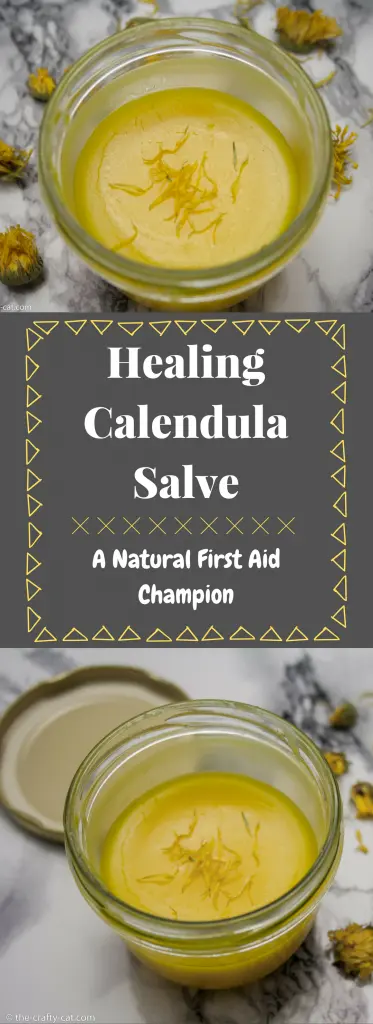 two jars with healing calendula salve standing on a marble table sprinkled with calendula flowers, the text: 'healing calendula salve: a natural first aid champion'