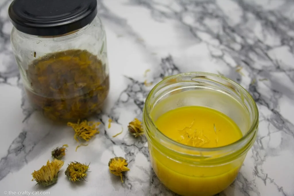 an open jar with healing calendula salve with a sealed jar of sunflower oil infusing with calendula flowers in the background, standing on a marble table