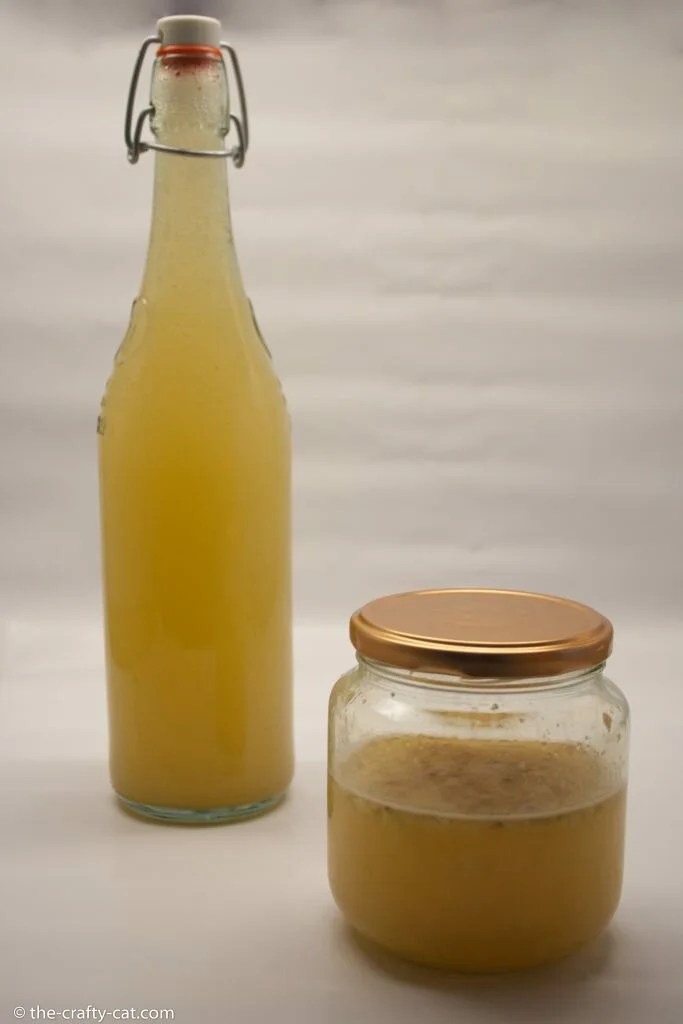 Learn how to start and maintain your own ginger bug and use it to make natural ginger ale and other fermented sodas.