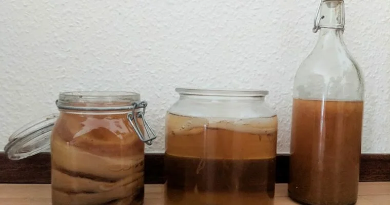 a scoby hotel, a jar of kombucha being fermented and a flip-top bottle of finished kombucha