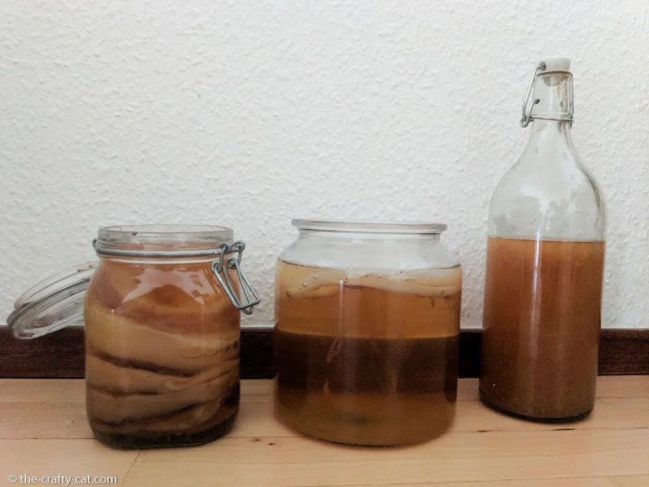 a scoby hotel, a jar of kombucha being fermented and a flip-top bottle of finished kombucha