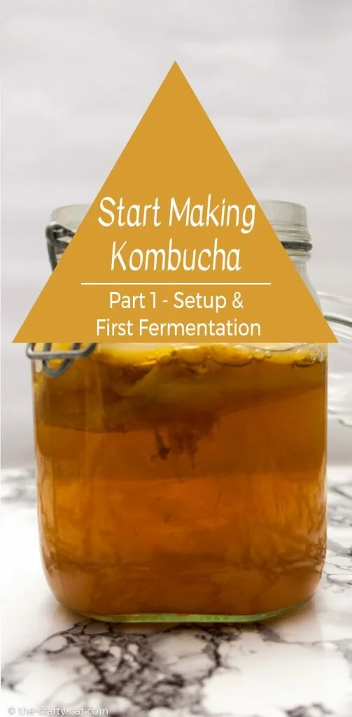 mason jar with a kombucha SCOBY in it standing on a marble table with a text overlay saying: how to start making kombucha